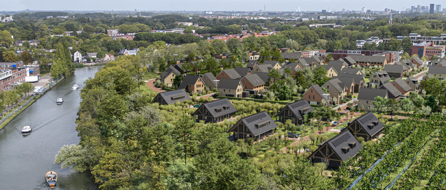 650X277 Newsletter image